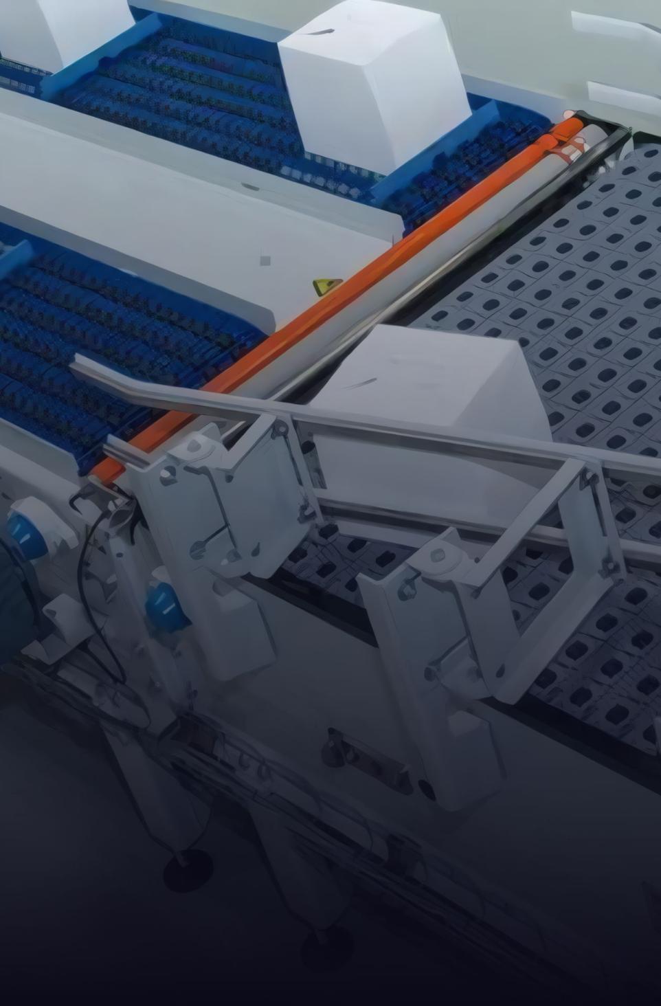 emballage cartons convoyeur