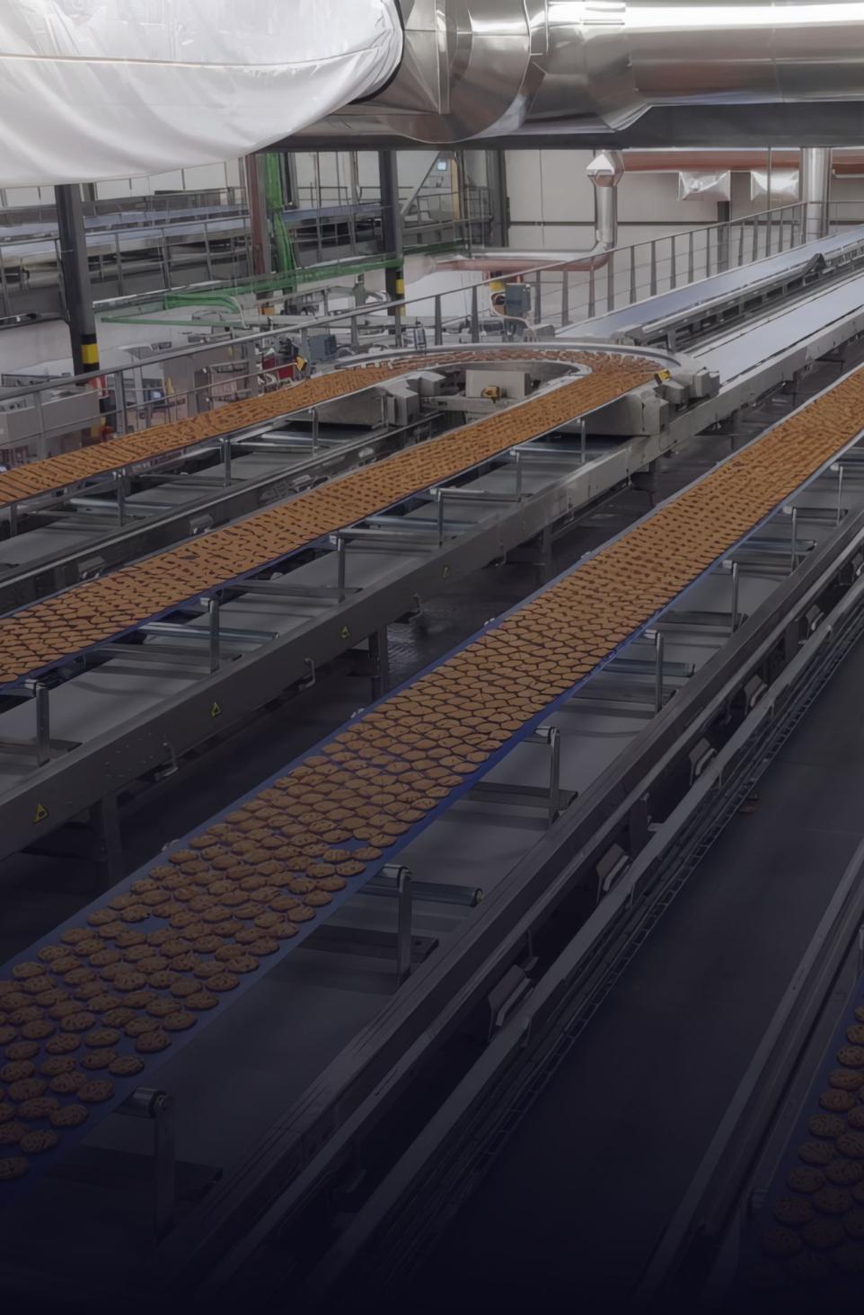 biscuits convoyeur
