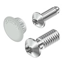 Screw S8x25-T40